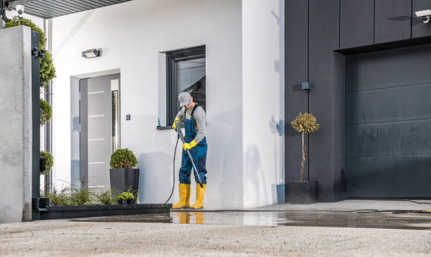 Best Solar Panel Cleaning  in Lake Holiday, VA